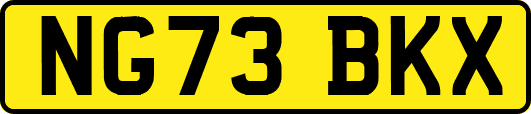 NG73BKX