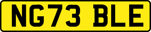 NG73BLE