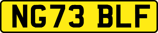 NG73BLF