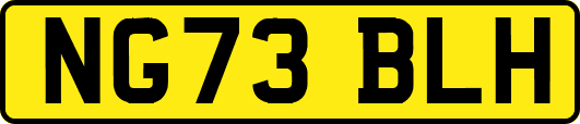 NG73BLH