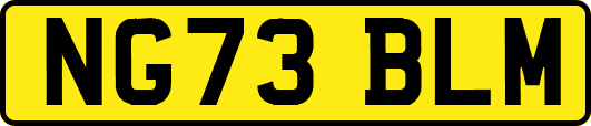 NG73BLM