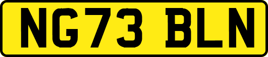 NG73BLN