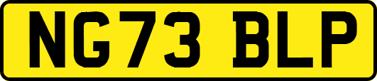 NG73BLP