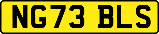 NG73BLS