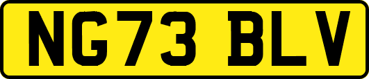 NG73BLV