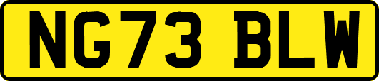 NG73BLW