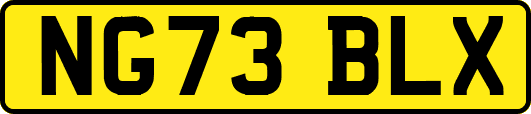 NG73BLX