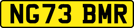 NG73BMR
