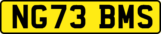 NG73BMS