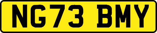 NG73BMY