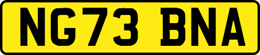 NG73BNA
