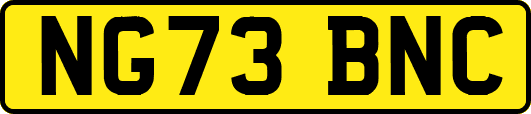NG73BNC