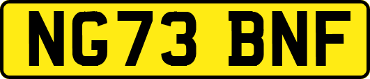 NG73BNF