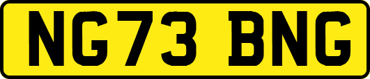 NG73BNG