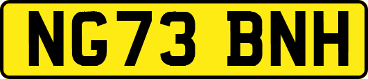 NG73BNH