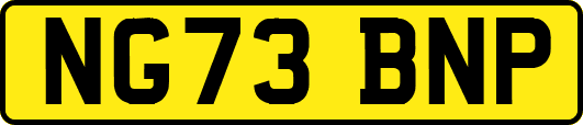 NG73BNP
