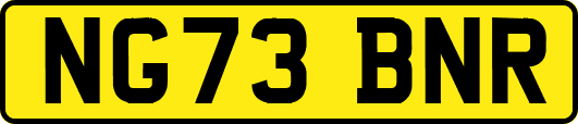 NG73BNR