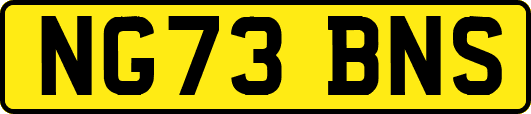 NG73BNS