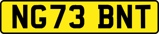 NG73BNT