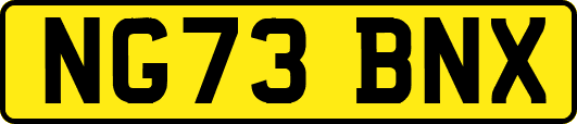 NG73BNX