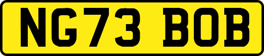 NG73BOB