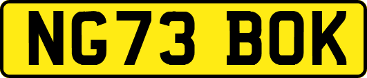 NG73BOK