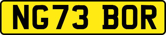 NG73BOR