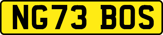 NG73BOS