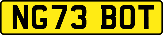 NG73BOT