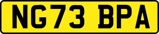 NG73BPA