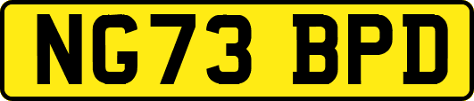 NG73BPD