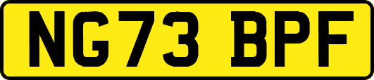 NG73BPF