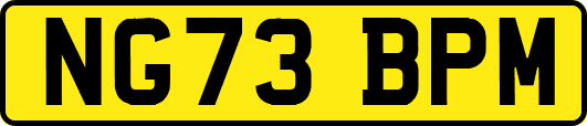 NG73BPM
