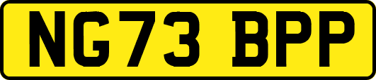 NG73BPP