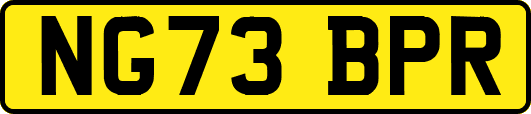 NG73BPR