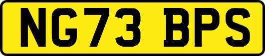 NG73BPS