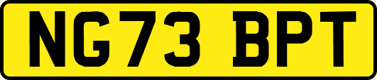NG73BPT