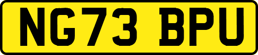 NG73BPU