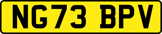 NG73BPV