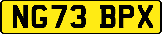 NG73BPX