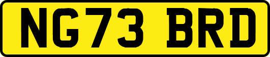 NG73BRD