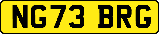 NG73BRG