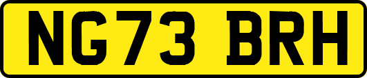 NG73BRH