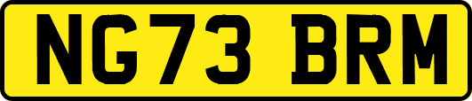NG73BRM