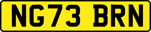 NG73BRN
