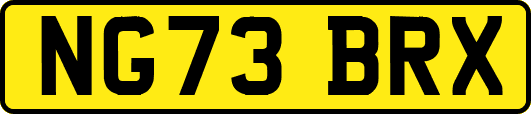 NG73BRX