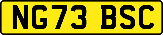 NG73BSC