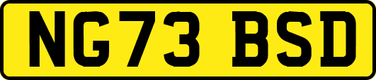 NG73BSD