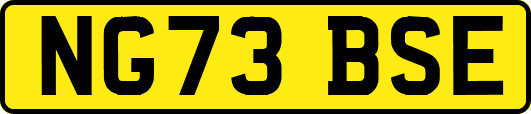 NG73BSE