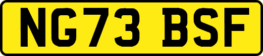 NG73BSF